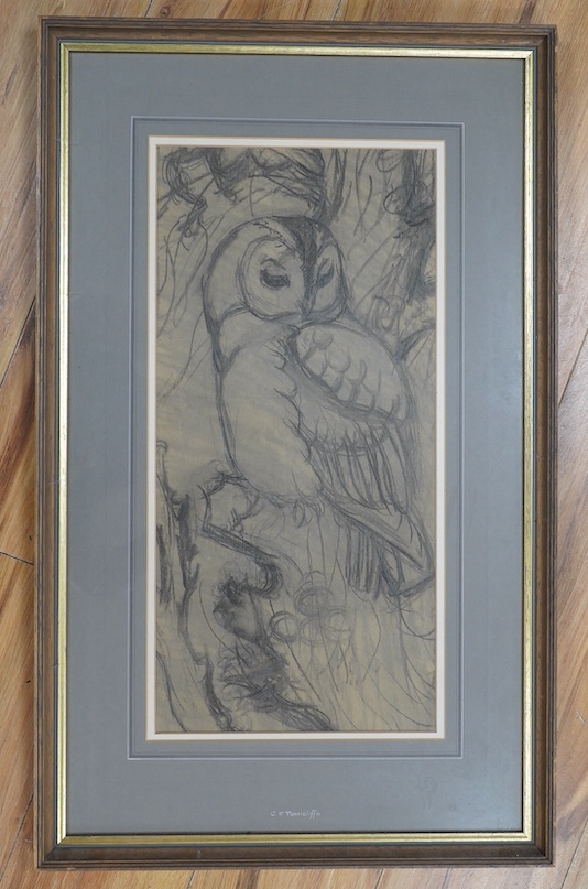 Charles Frederick Tunnicliffe (1901-1979), pencil on paper, Preliminary drawing of a Tawny owl, inscribed to the mount, Welsh Arts Council label verso, 52 x 24cm. Condition - fair, colours appear faded